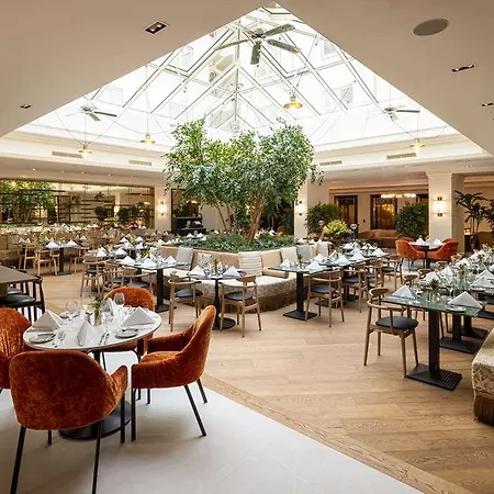 Отель Hilton Хайдельберг